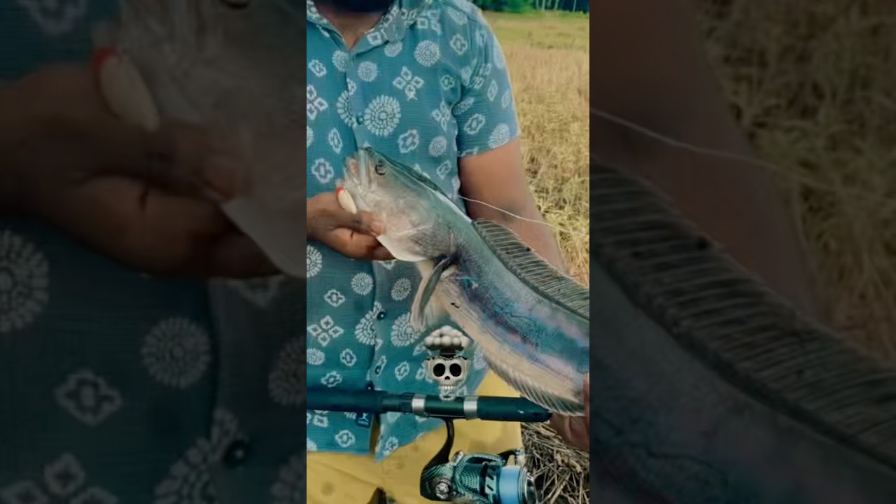 Giant sneakhead🐍🎣
