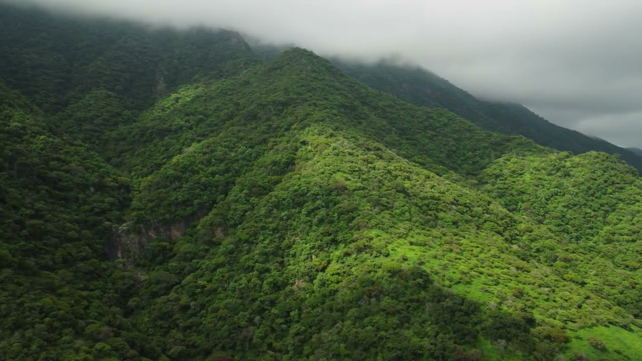 Green Mountains | Mountain video | Nature 4K Ultra HD | Mountain's Beauty