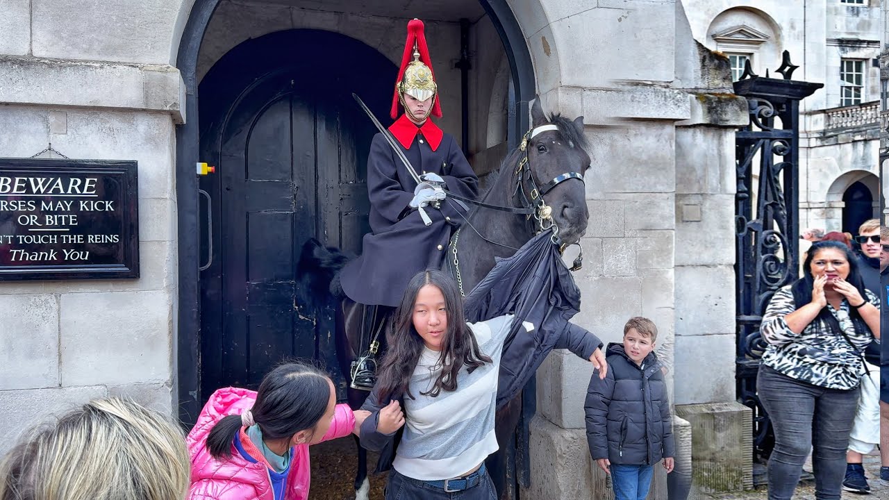King’s Horse Deals with IDIOT as Public Watch in REAL SHOCK!