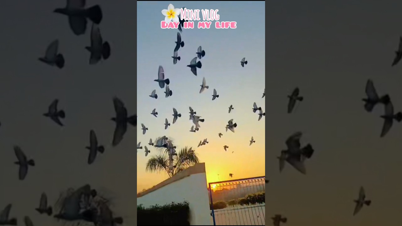 day in my life 🧬⭐ ll mini vlog ll #minivlog #vlog #enjoy #ytshorts #shortsfeed #shorts #dailyvlog