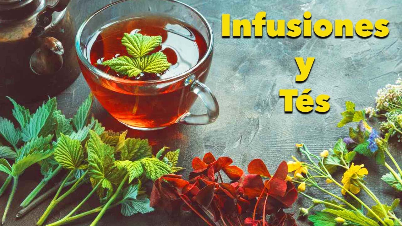 🌱 Las Mejores Infusiones y T&eacute;s para tu Salud 🌿. Recetas F&aacute;ciles. Como prepararlo.
