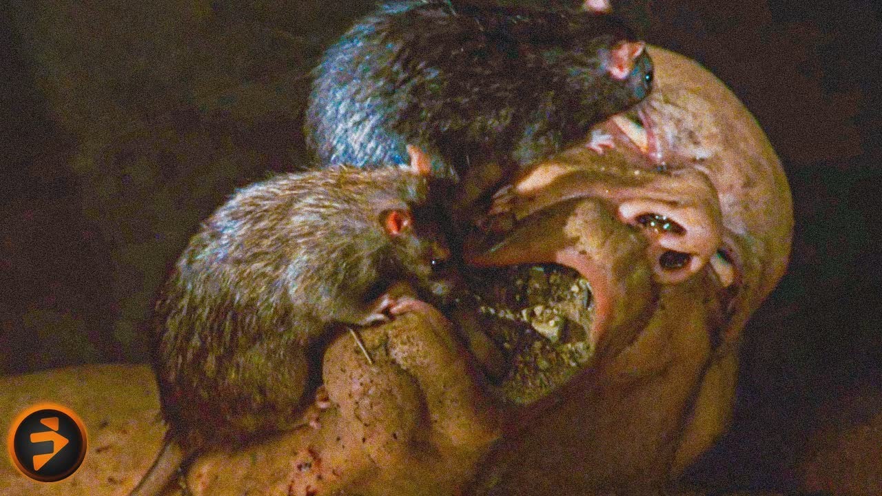 The First Cardinal’s Gruesome End | ANGELS & DEMONS