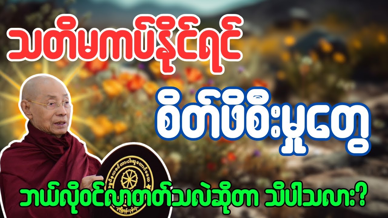 သတိမကပ်နိုင်ရင် စိတ်ဖိစီးမှုတွေ ဘယ်လိုဝင်လာတတ်သလဲဆိုတာ သိပါသလား - ပါချုပ်ဆရာတော်