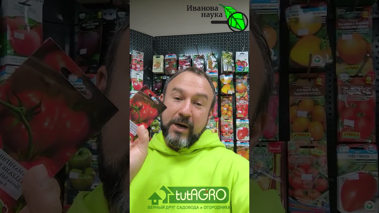 Эти томаты посажу ОБЯЗАТЕЛЬНО! 🍅 Мои фавориты на сезон 2026 года. НЕ БОЛЕЮТ и не трескаются.