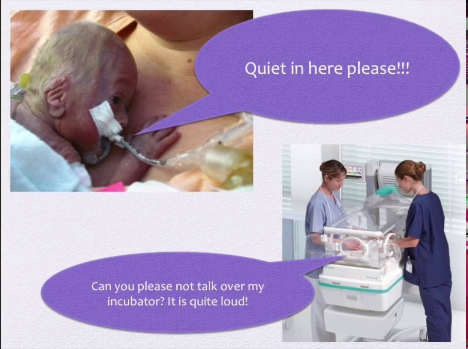 Developmentally Supportive Care in the NICU