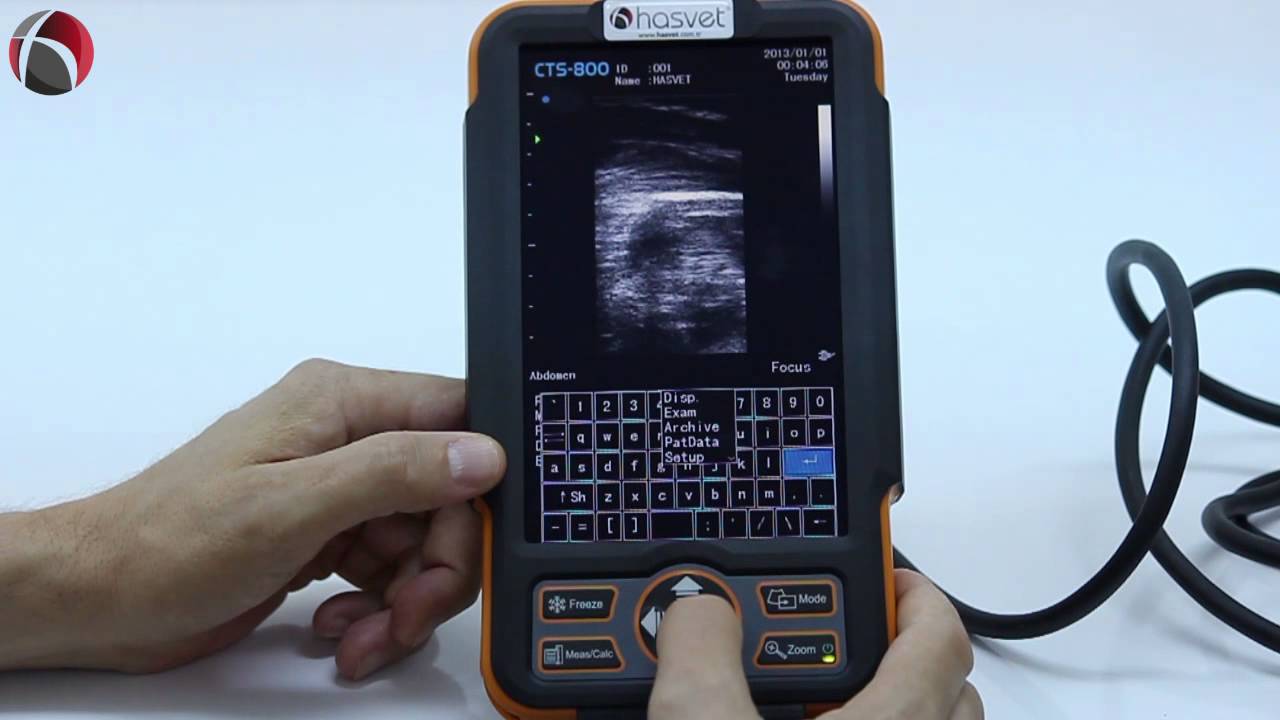 Hasvet 838 Veteriner Ultrason Cihazı