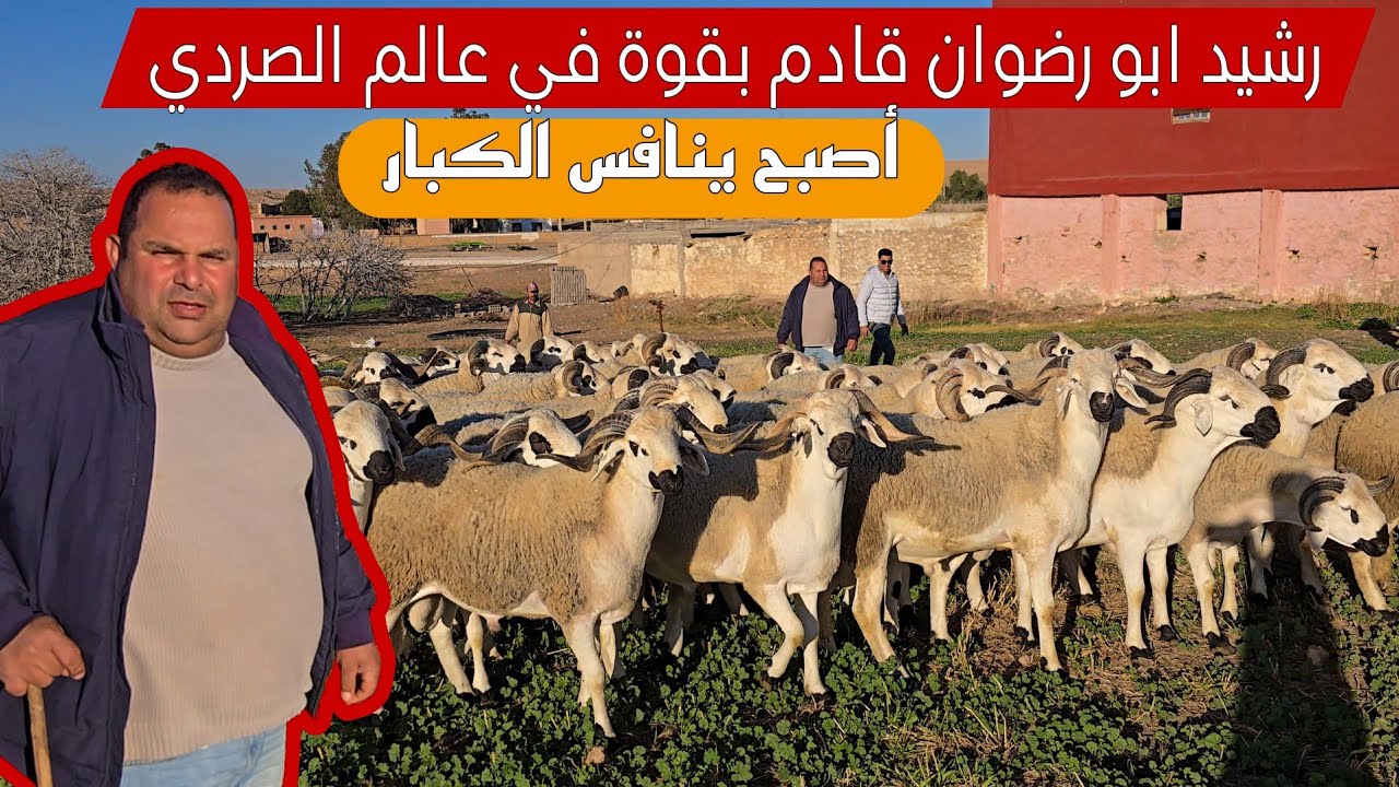 رشيد أبو رضوان أصبح ينافس الكبار في عالم الصردي شاهذ و لن تندم لأنك ببساطة سوف تشاهذ الصردي الحقيقي
