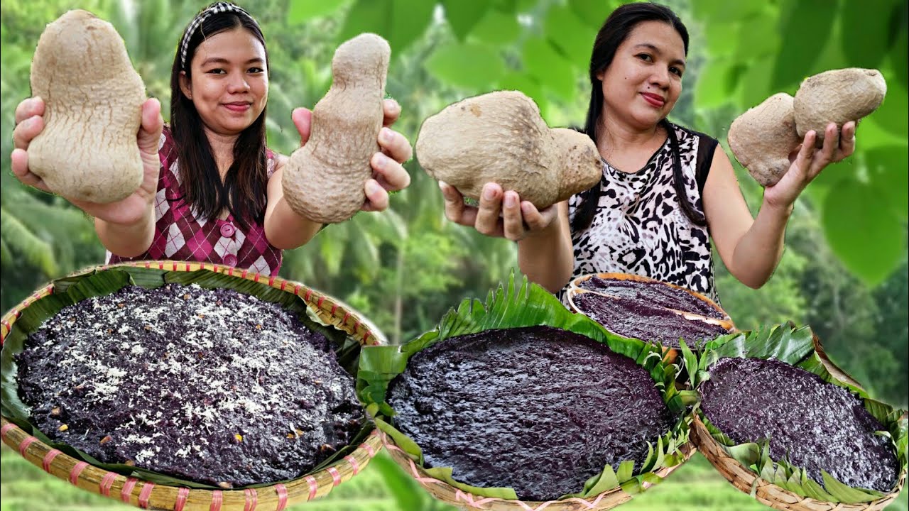 Harvesting Purple Ube | Cooking Creamy Ube Halaya & Ube Maja Blanca
