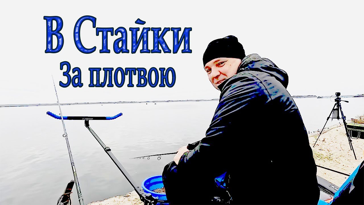 В Стайки за плотвою. Фідер восени. Осіння плотва #fishing #feeder #риболовля #рибацькийдвіж
