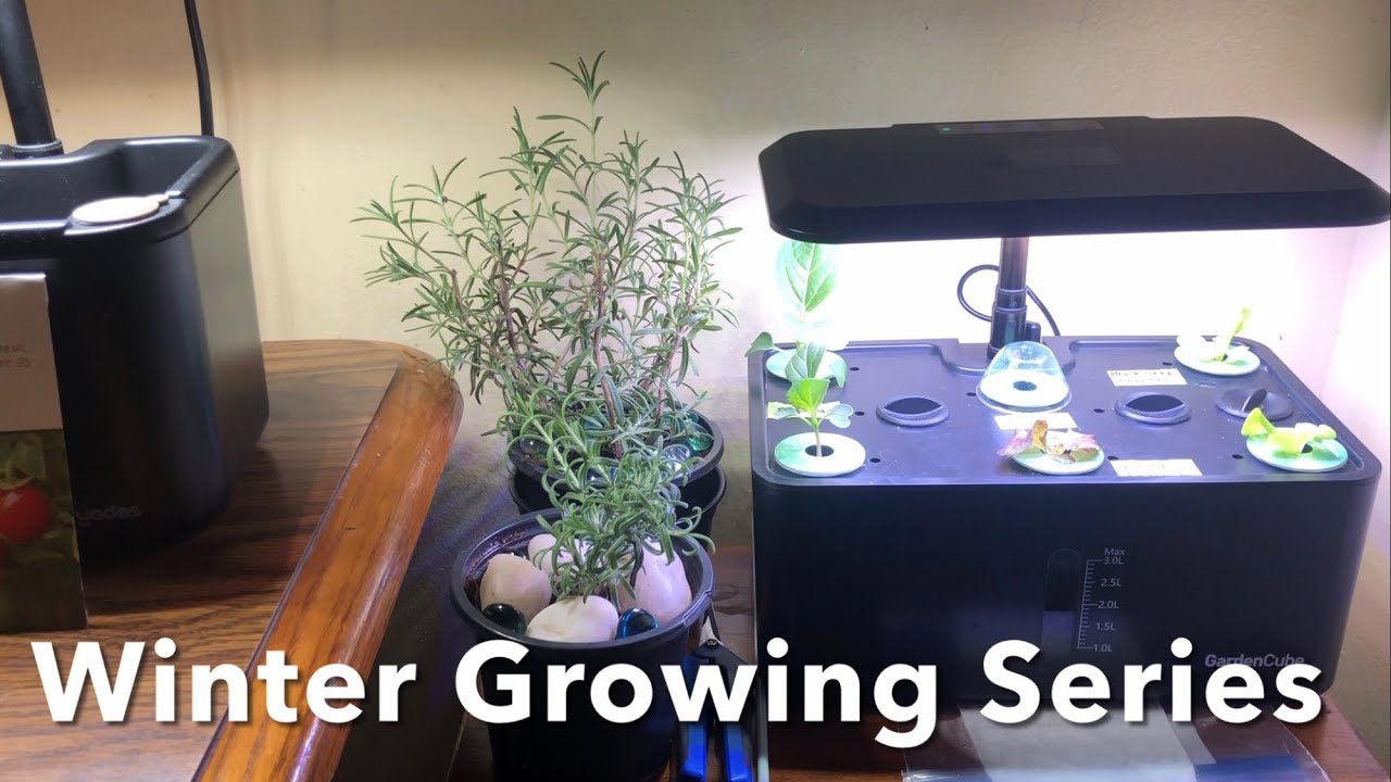 How I Grow indoors (Winter Growing Series)