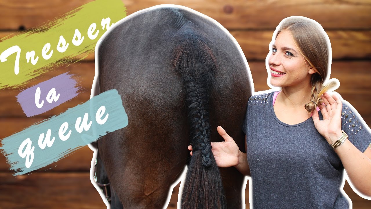 TRESSER LA QUEUE D'UN CHEVAL 🎀