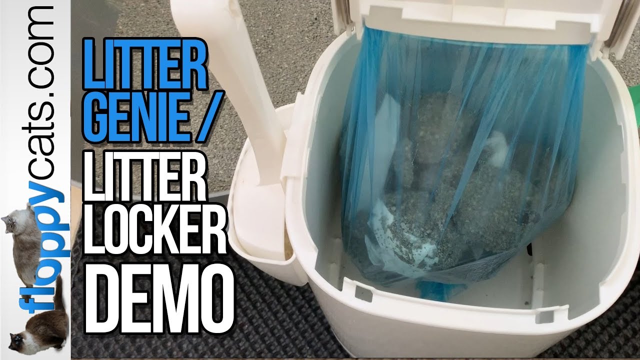 Демонстрационное видео Litter Genie — как использовать систему утилизации кошачьего мусора Litter...