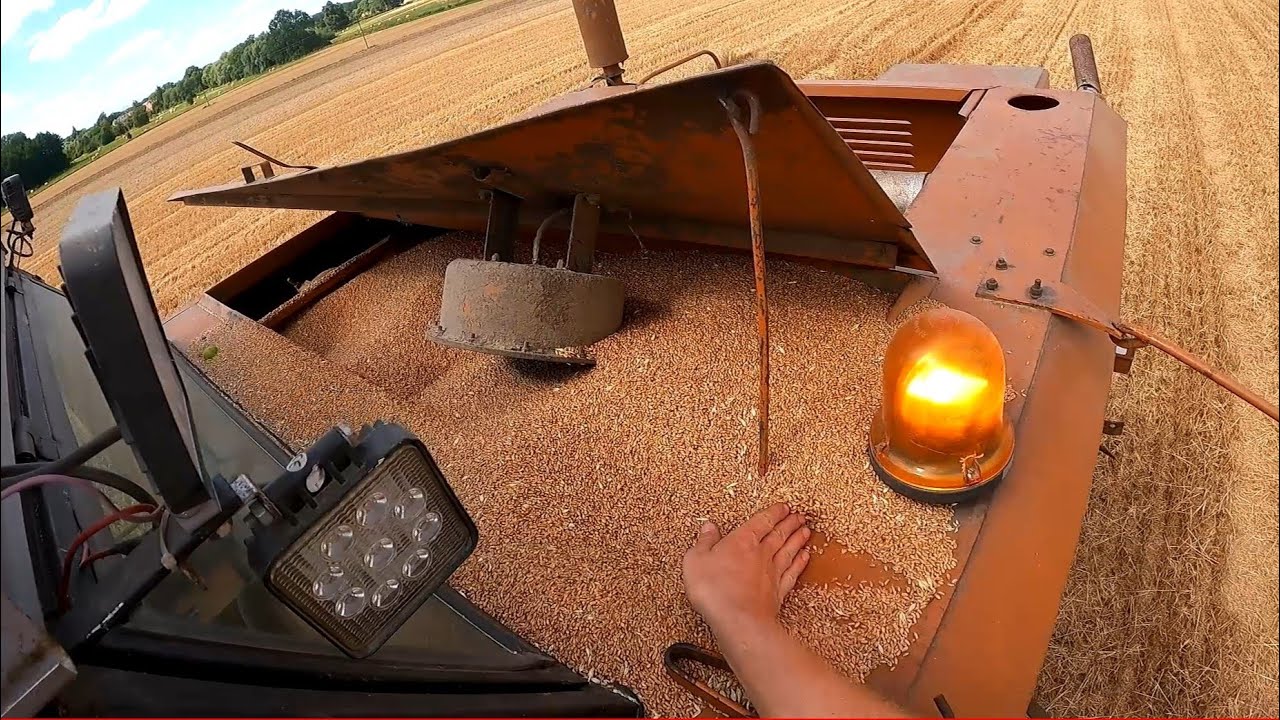 Kolejny dzień żniw 2022