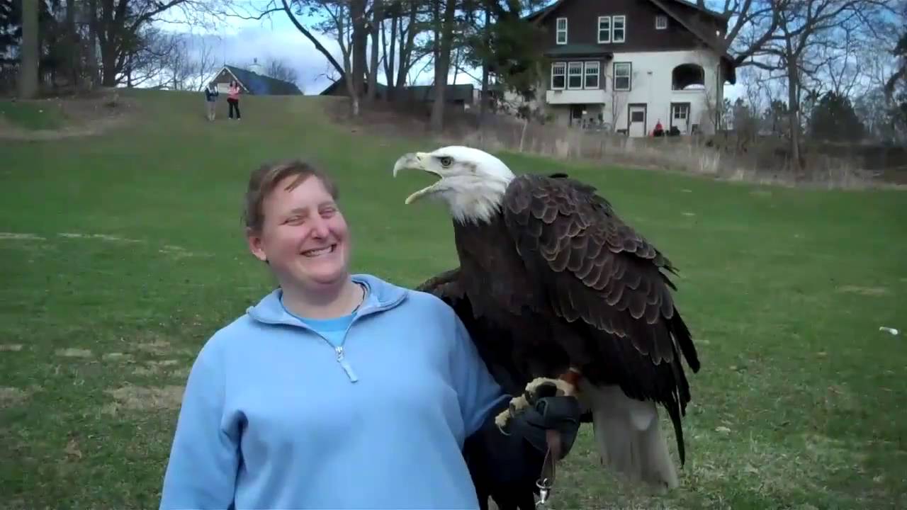 Bald Eagle Flight Training