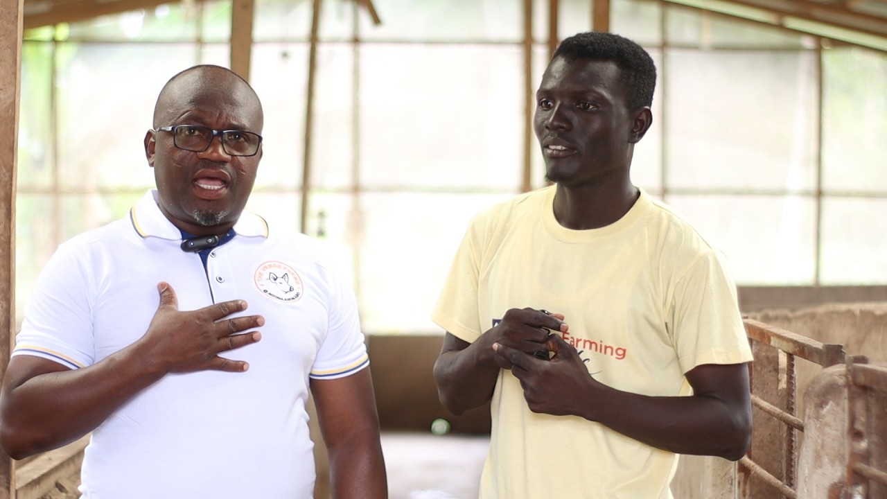 I'm Living in the USA and Running a Successful PIG FARM Business in Ghana