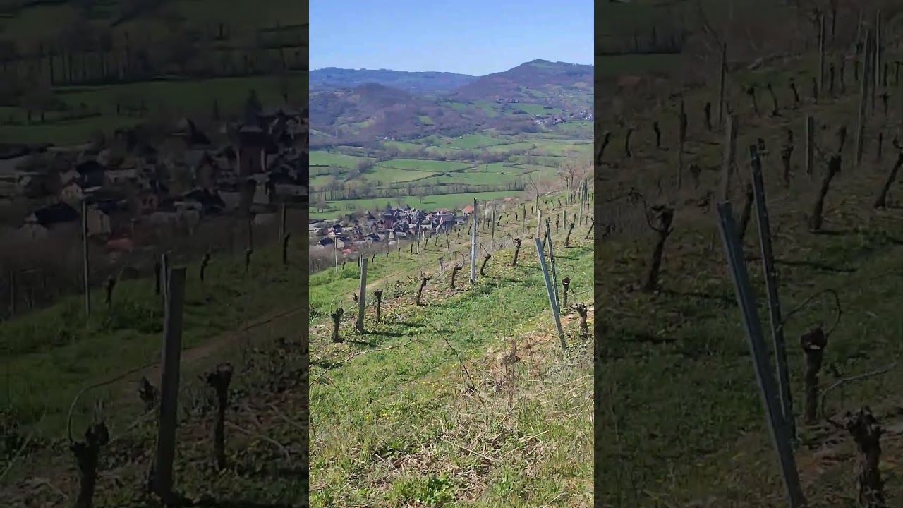 Randonn&eacute;e du 18/03 sur le causse de Gradels &agrave; Nuces, commune de Valady ( Aveyron).