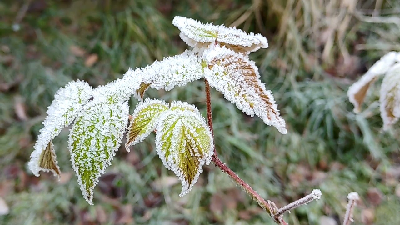 M&ugrave;a đ&ocirc;ng ở Phần Lan/ Winter in Finland 2021 (1)