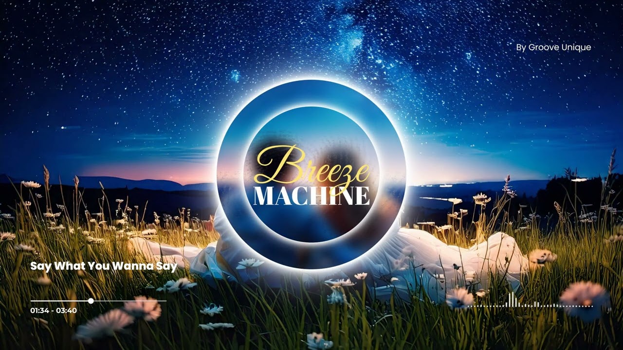 Breeze Machine - Say What You Wanna Say