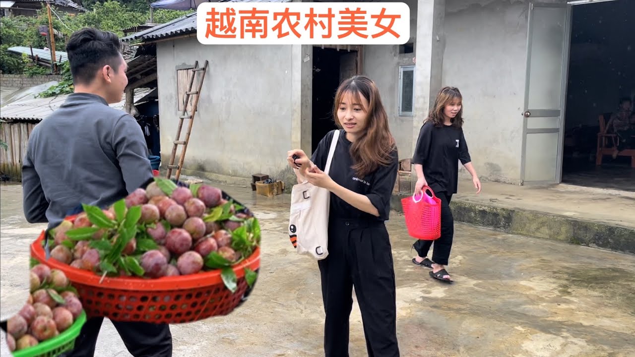 越南泡妞者跟賣菠蘿姑娘到農村美女家的果園摘李子。(第2集）