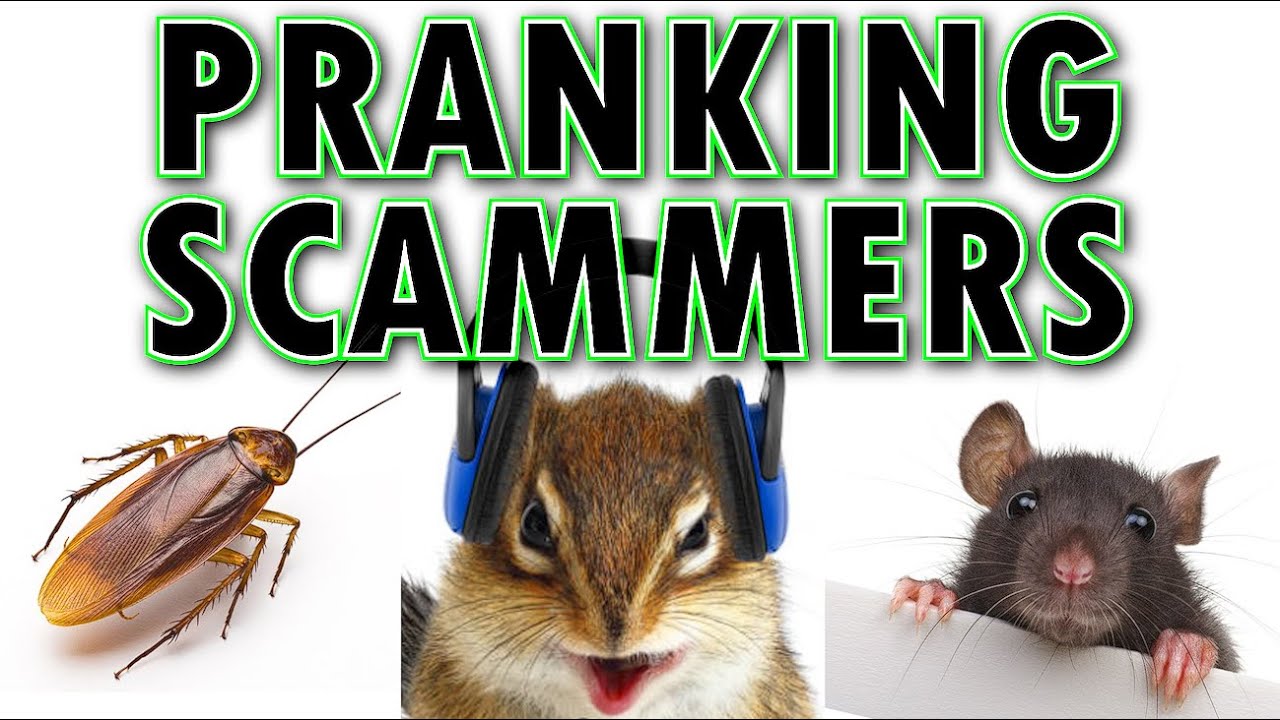 Pranking Scammers с участием Марка Робера