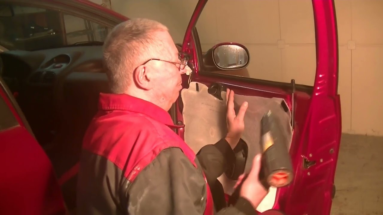 Wechsel des Türfangbands am Peugeot 206