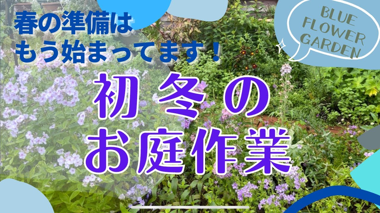 《12月初冬にやる４つの作業／宿根草の庭》今やっておきたい宿根草の刈り込み／こぼれ種を確認しよう！／寒肥兼土壌改良など