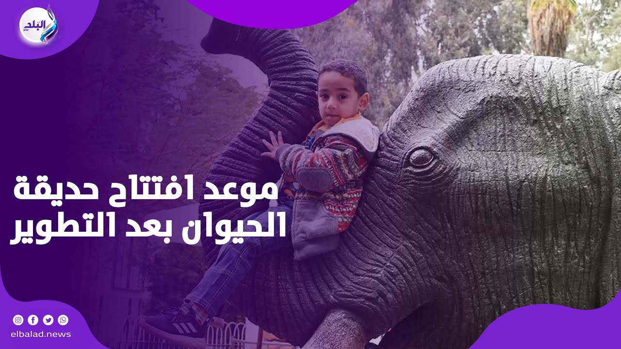 موعد افتتاح حديقة الحيوان بالجيزة بعد التطوير