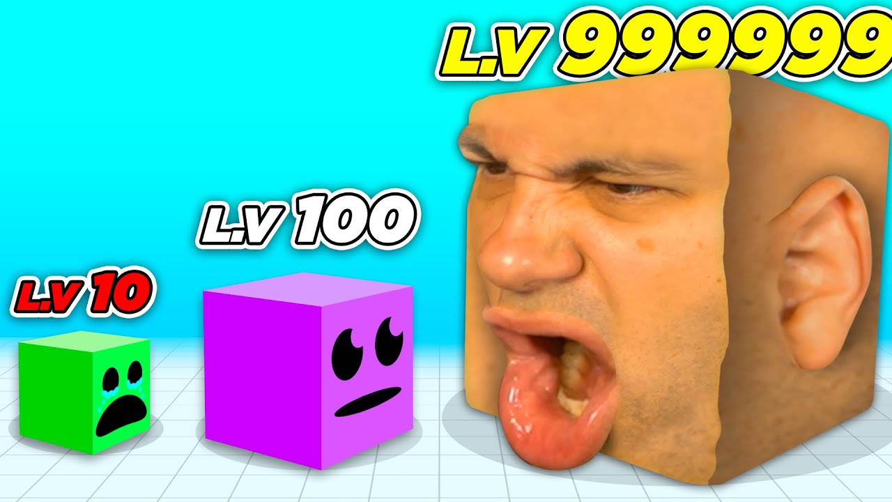 I'm a BLOCKHEAD...