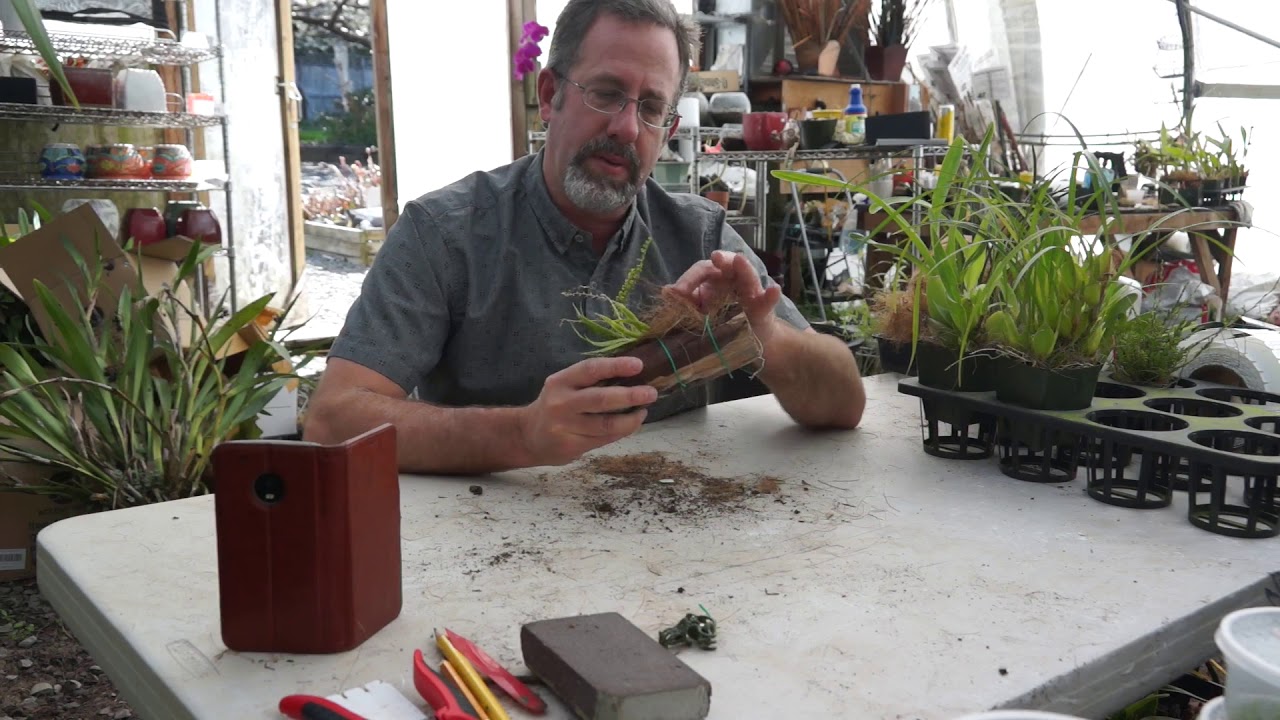 Coconut Fiber Orchid Potting Media