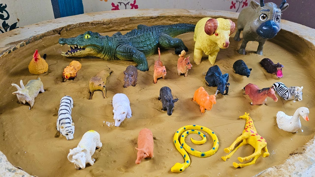 Tiny Explorers: Muddy Farm and Zoo Animal Adventures for Toddlers!