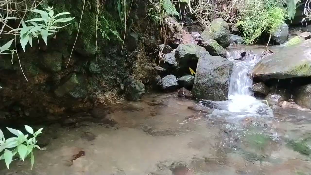 Asmr Melodi Gemricik Air Sungai | Calming Sounds
