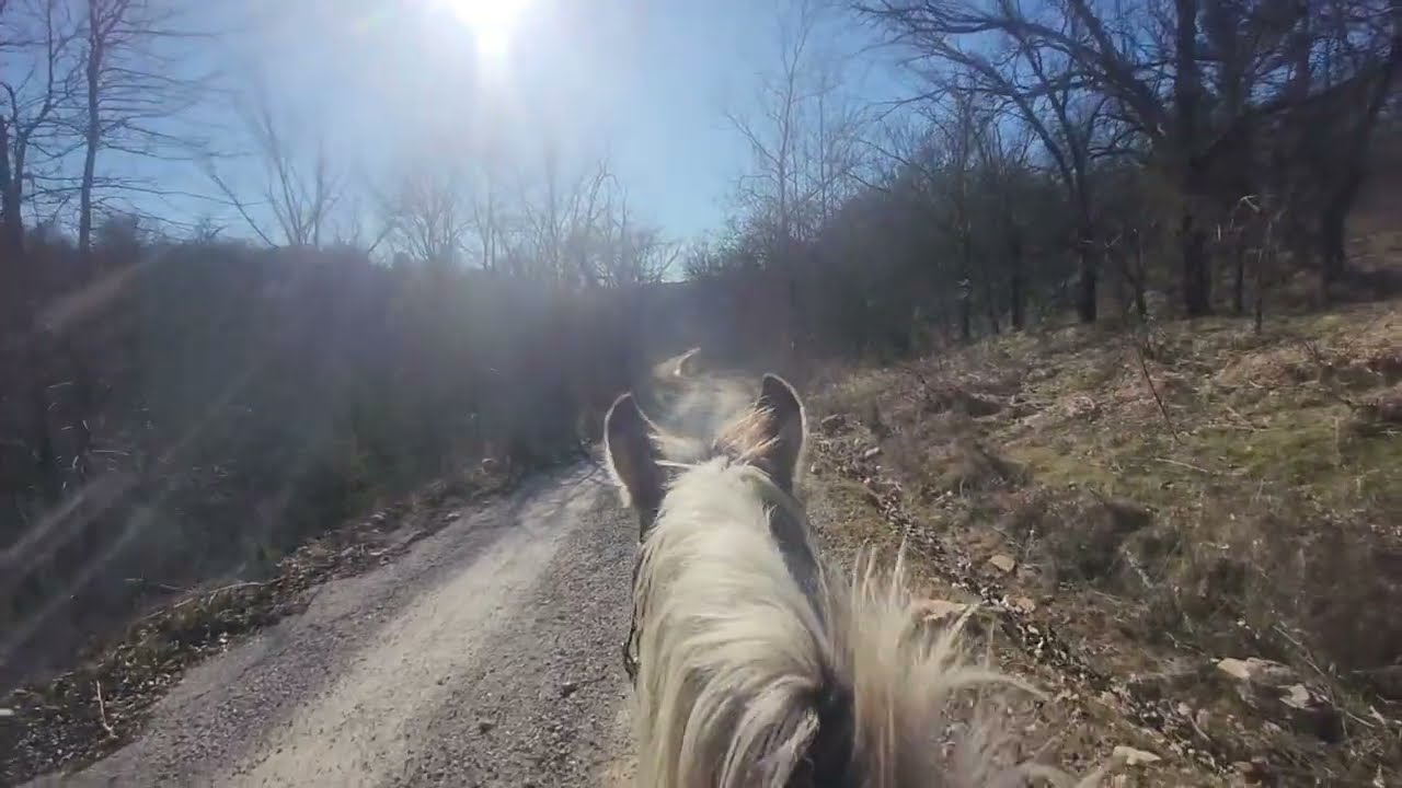 Back Road Ride on RESCUE Horse Sugar~ Just us and the Trees
