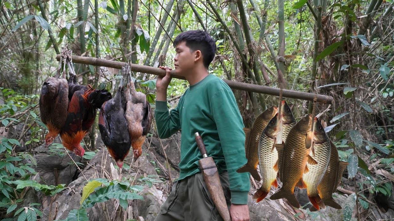 Survival in the wild, traces of wild chickens, using bamboo to lead water to catch fish in streams