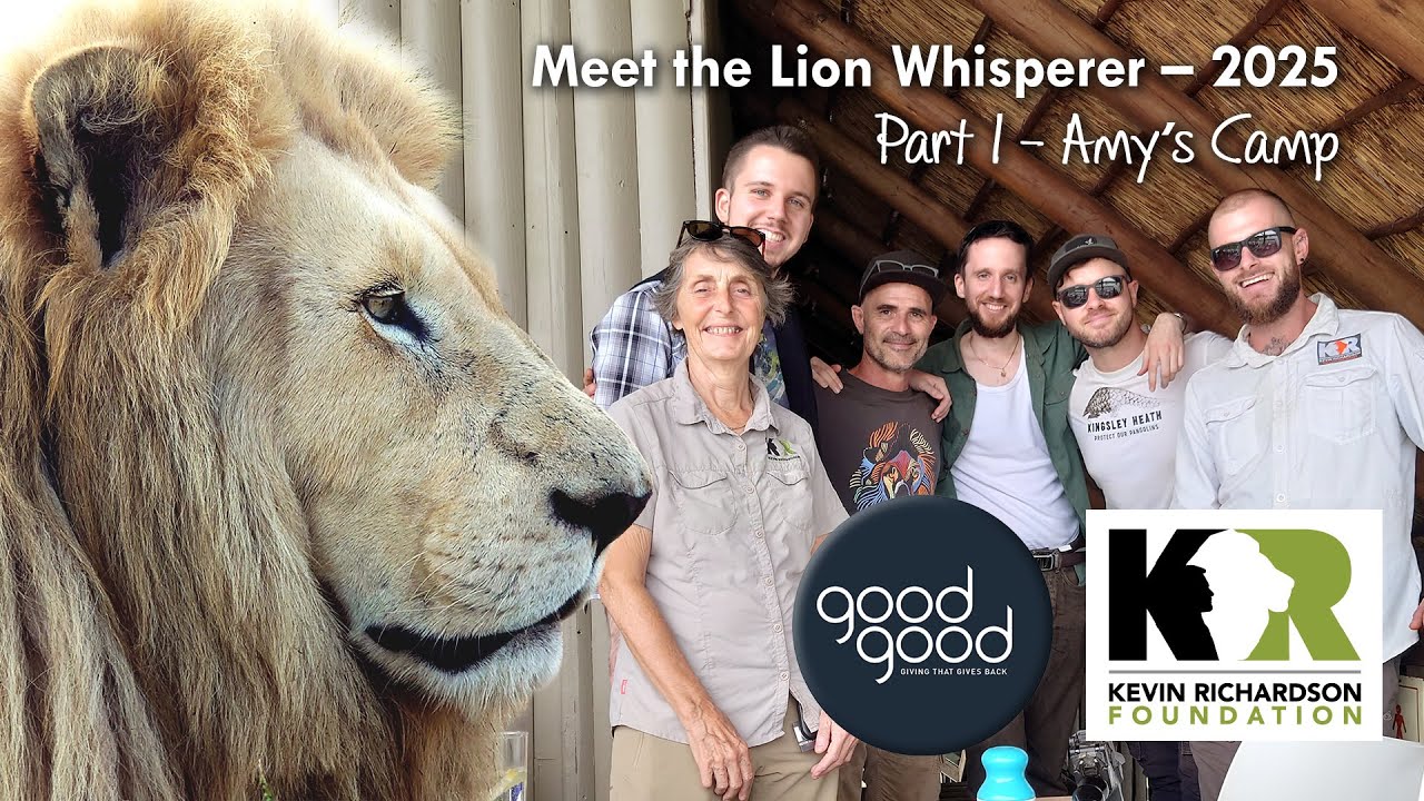 🦁Meet the Lion Whisperer – Pt. 1: Amy's Camp (KRF & GoodGood Giving)
