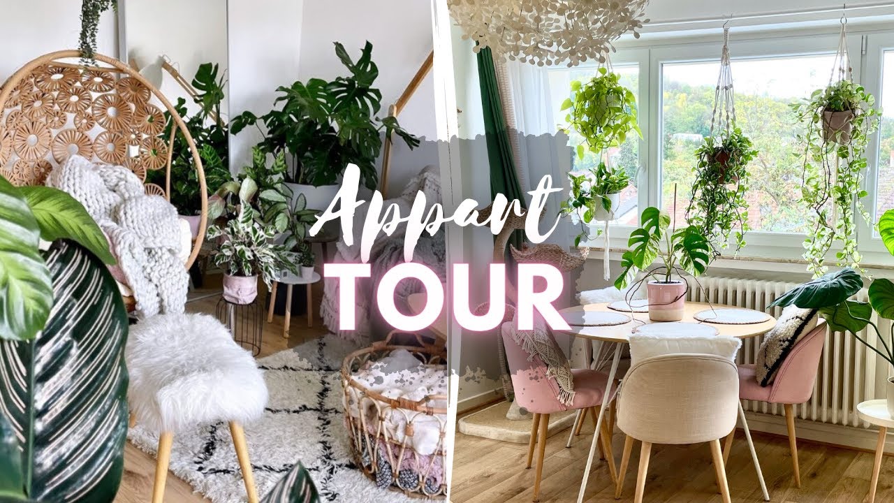 Appart Tour : 42m2 transformés en cocon de verdure 🌱💗