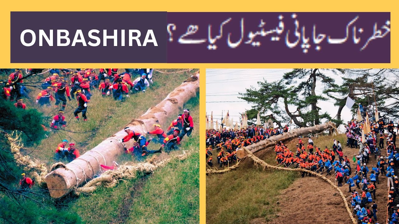 Most dangerous festival Onbashira in Japan. Wild log riding | @FactDropperTvee