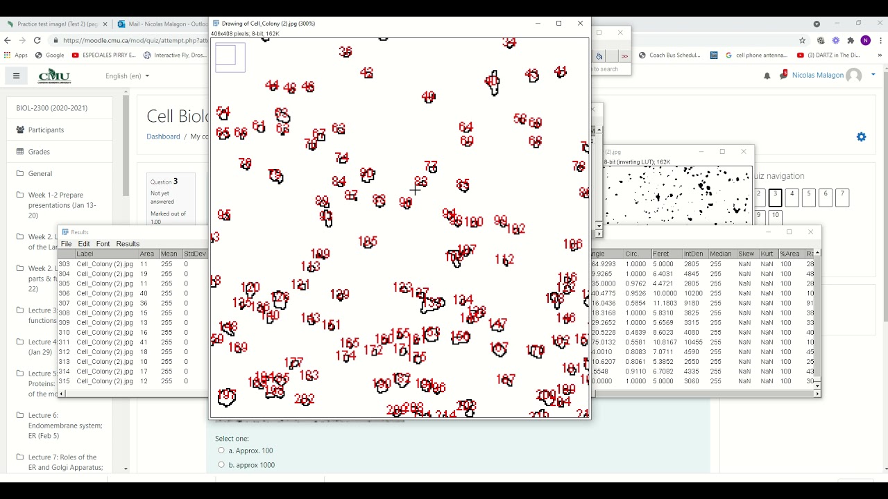 How to count objects in imageJ