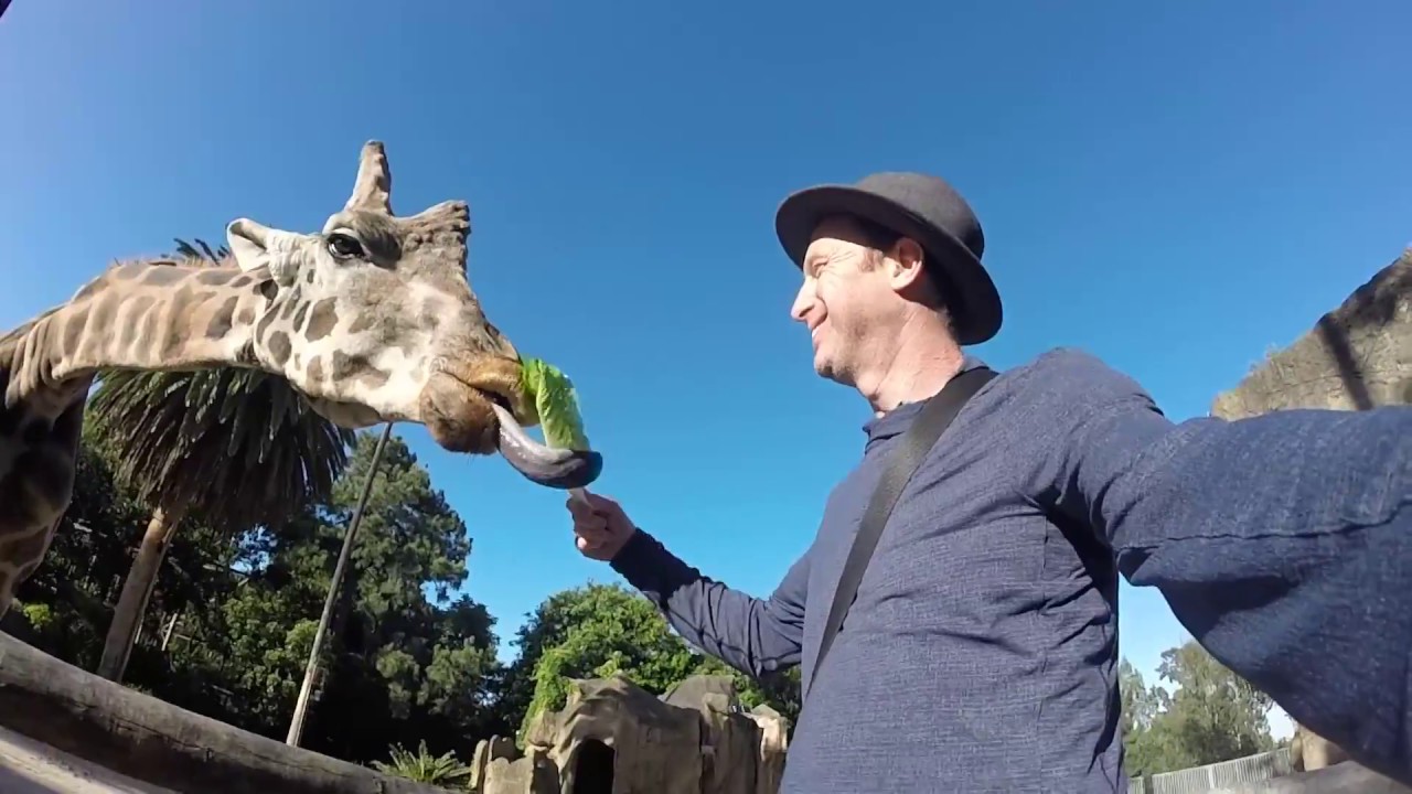 The Great Australian Bucket List