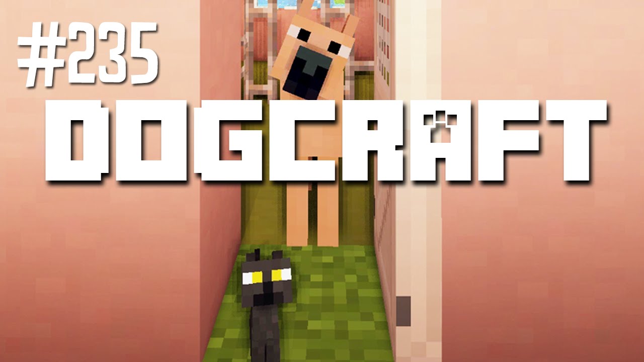 Bringing Home Buttercup | Dogcraft (Ep.235)