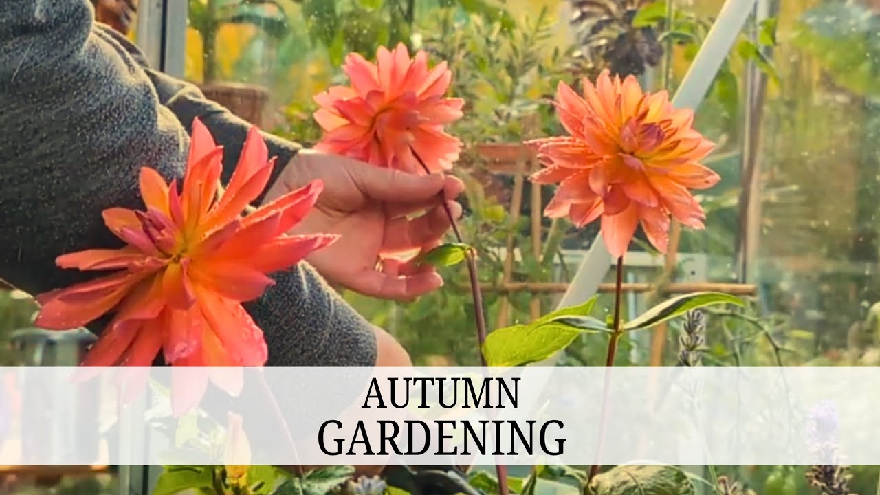 56. Planting, Trimming & Repotting / Sept 2024