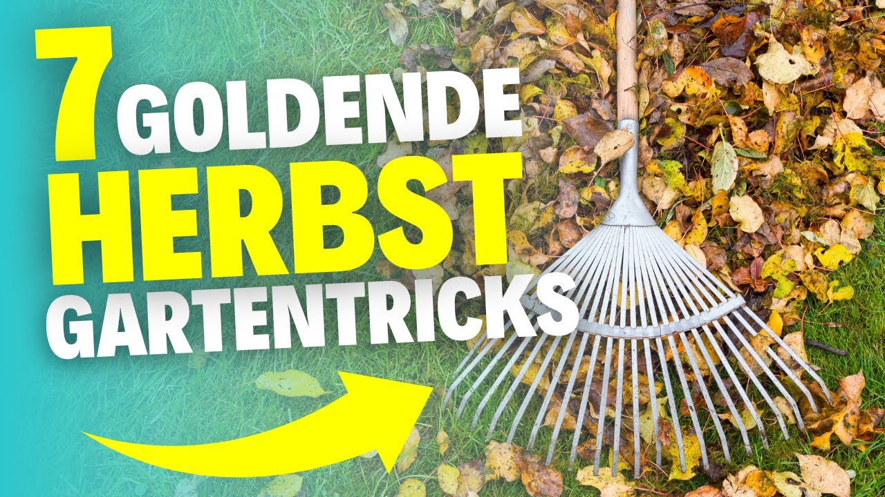 Mit diesen 7 Tricks &uuml;bersteht dein Garten den Herbst ohne Probleme!
