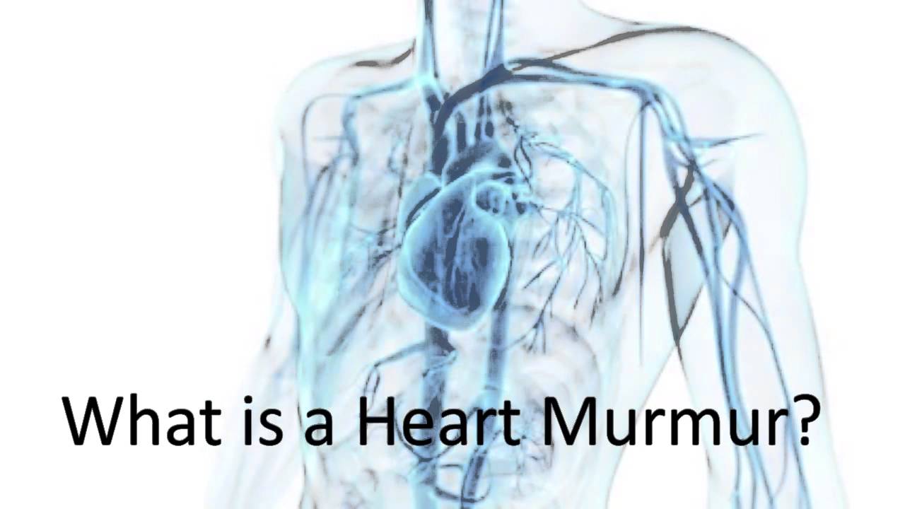 Ask a Cardiologist: What is a Heart Murmur?