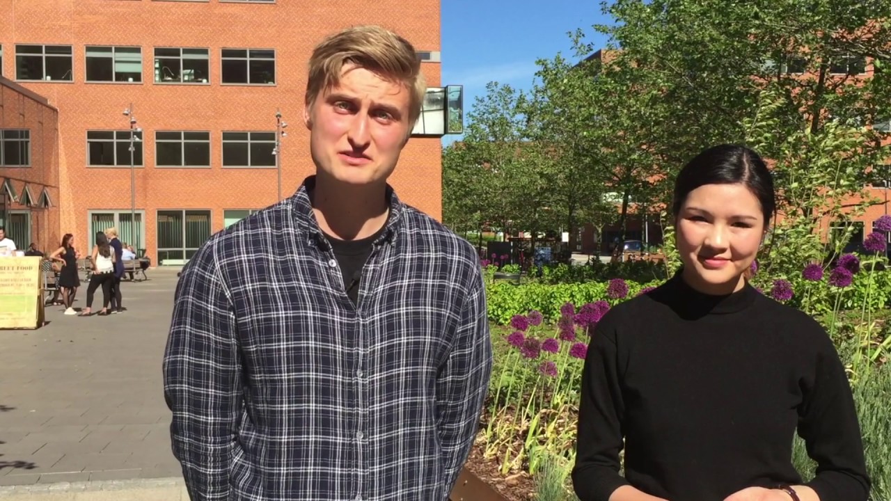 Kinastudier på Aarhus Universitet