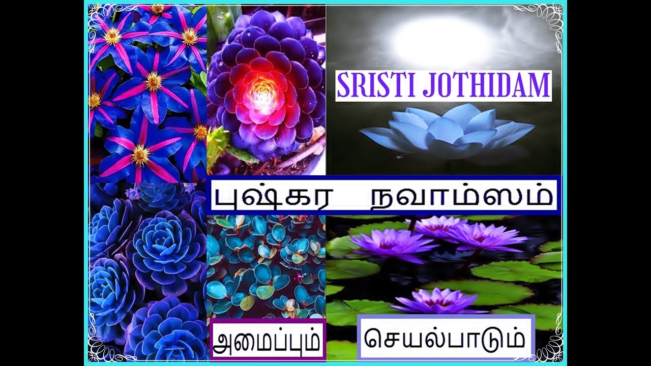 புஷ்கர நவாம்ச யோகம்  |    PUSHKARA NAVAMSA YOGAM .