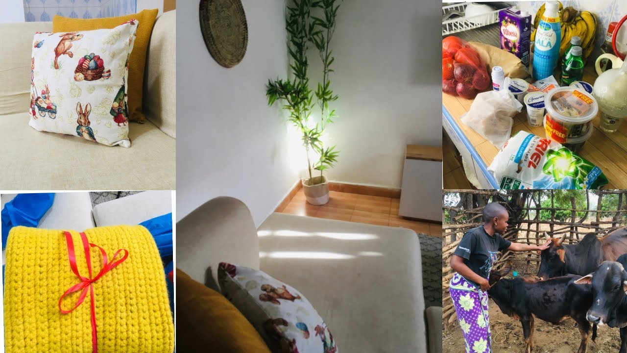 LIVING ALONE DIARIES:  Travelled home|| Restock || business rants || getting back in track.