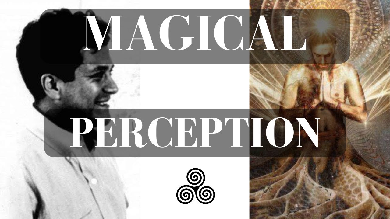 Тайна трех внимания в философии Кастанеды: вы этого не знали