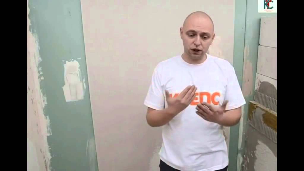 Как избавиться от грибка и плесени на стенах