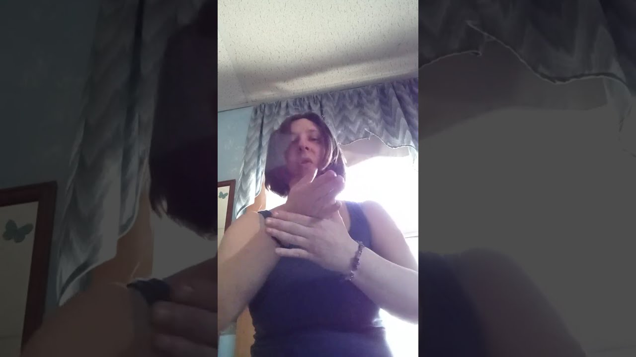 The Subway sung by Chappell Roan covered in sign-language 