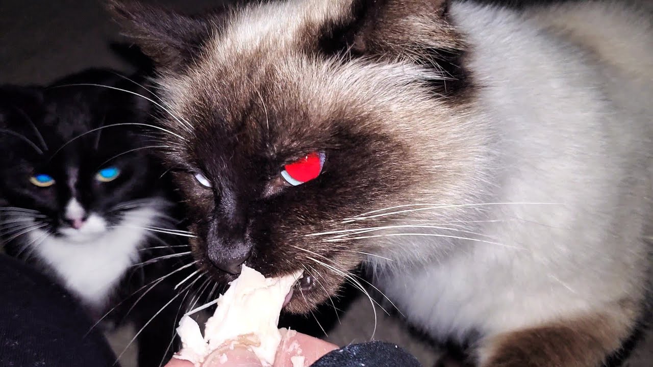 #hungry