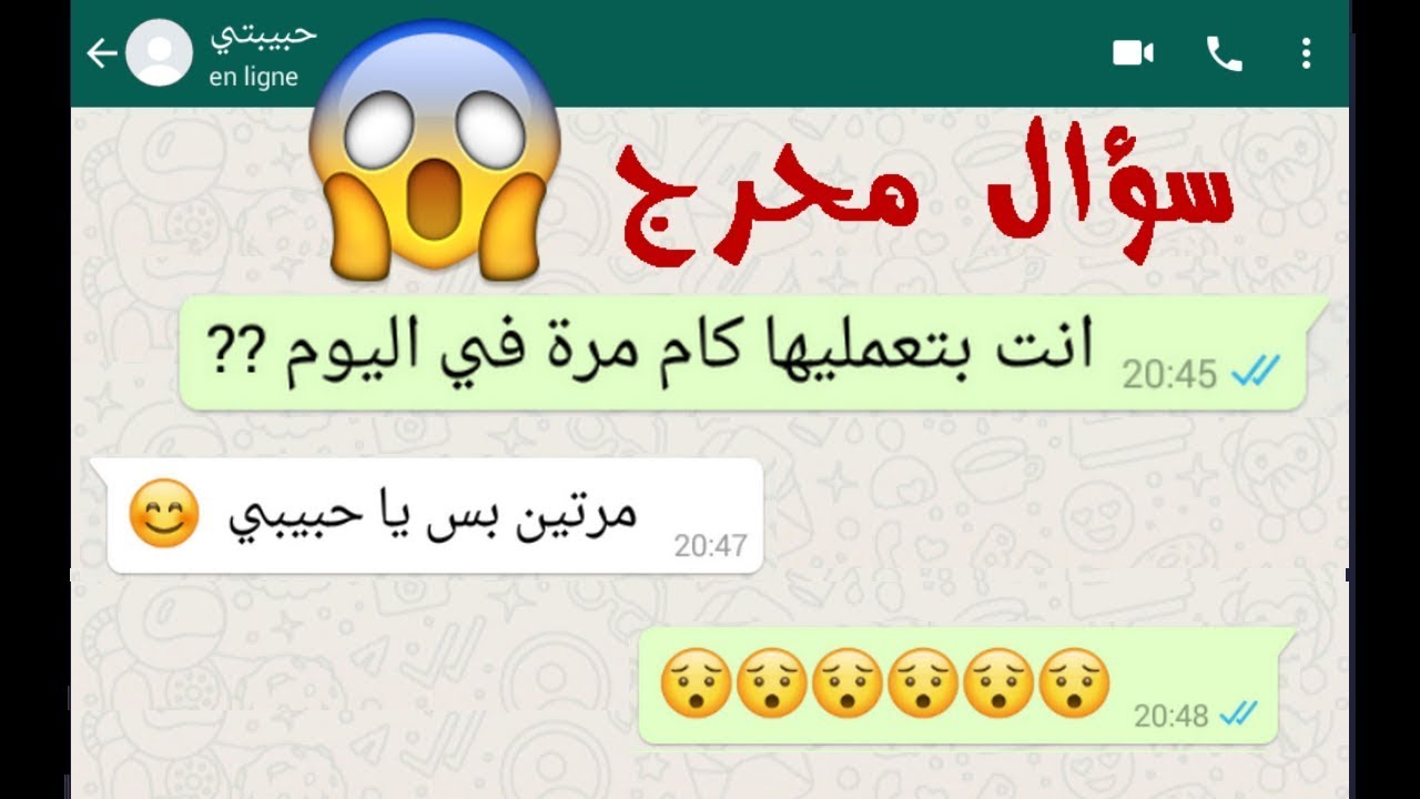 شاب جريء يسأل خطيبته انت بتعمليها كم مرة في اليوم . شاهد كيف اجابته-محادثات واتساب-